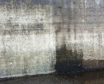 Reinigung von Biogasanlagen 